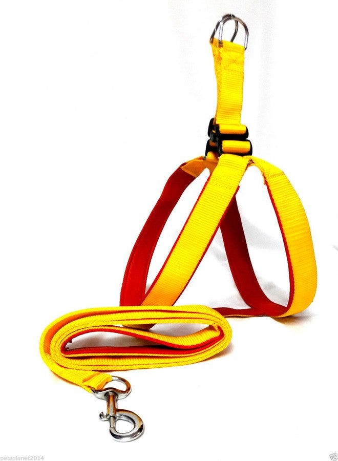 Ocean Wave Petsplanet Yellow Nylon Dog Harness with Soft Red Padding 1 inch Medium Size - Image 1